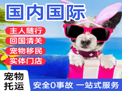 义勒力特空运公司国际宠物托运 【国